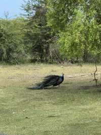 2 Days in Badulla – A Journey Through Nature and Culture