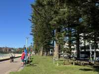 Manly Beach a worth to visit 