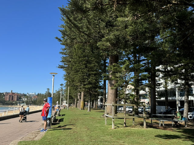 Manly Beach a worth to visit 