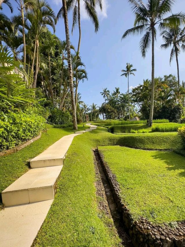 🍃 Nature's Embrace – A Soulful Stay in the Heart of Ubud