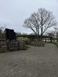 🌸【雨中偕樂園．櫻花靜賞漫旅】探訪日本三大名園之一｜水戶最值得造訪的春日秘境