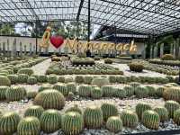 Pattaya’s Nong Nooch Tropical Garden – A Lush Escape with a Lot of Walking 