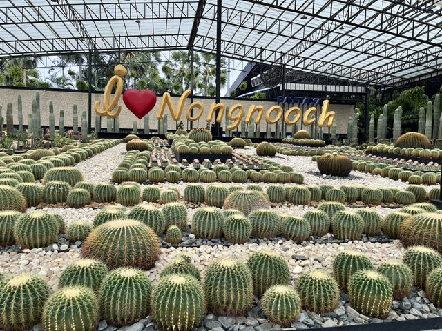 Pattaya’s Nong Nooch Tropical Garden – A Lush Escape with a Lot of Walking 