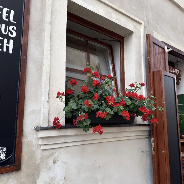 🇨🇿捷克西部小眾旅遊地｜庫特納霍拉
