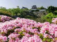 Maizuru Castle Park – A Serene Historical Escape in Kofu