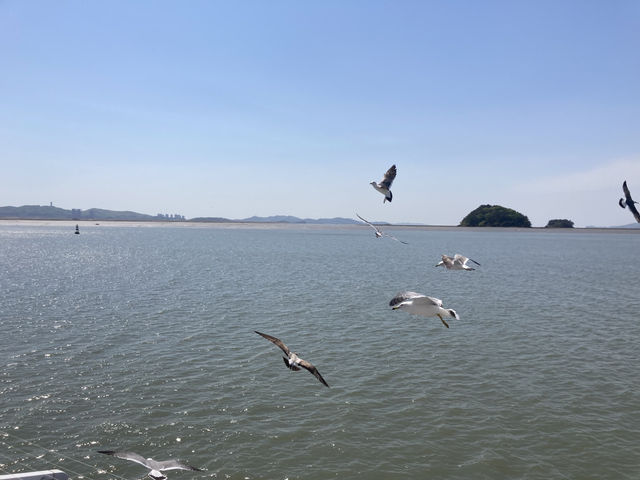 갈매기의고장 인천으로 고고씽🎶