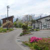 ”Oide Park“ ณ หมู่บ้านฮะคุบะ 🏔️🌲🇯🇵