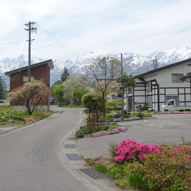 ”Oide Park“ ณ หมู่บ้านฮะคุบะ 🏔️🌲🇯🇵