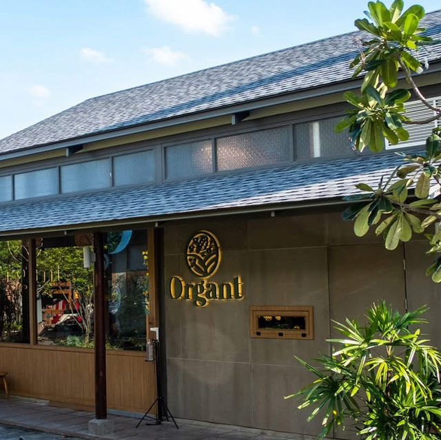ร้าน Organt สาขา The Wall