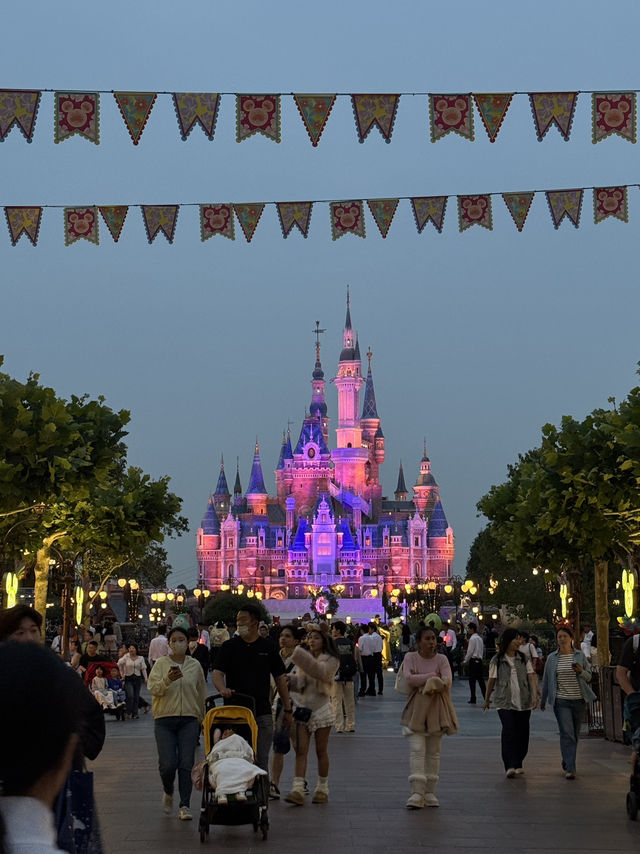 Disneyland shanghai รอบ 2 ก็ไม่พลาด