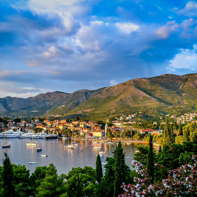 The Lavender Fields of Hvar, Croatia