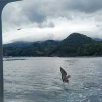 Amanohashidate – Japan’s Scenic “Bridge to Heaven"