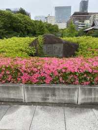 【東京都芝公園🇯🇵増上寺】徳川家の菩提寺/日本有数の寺院☺️
