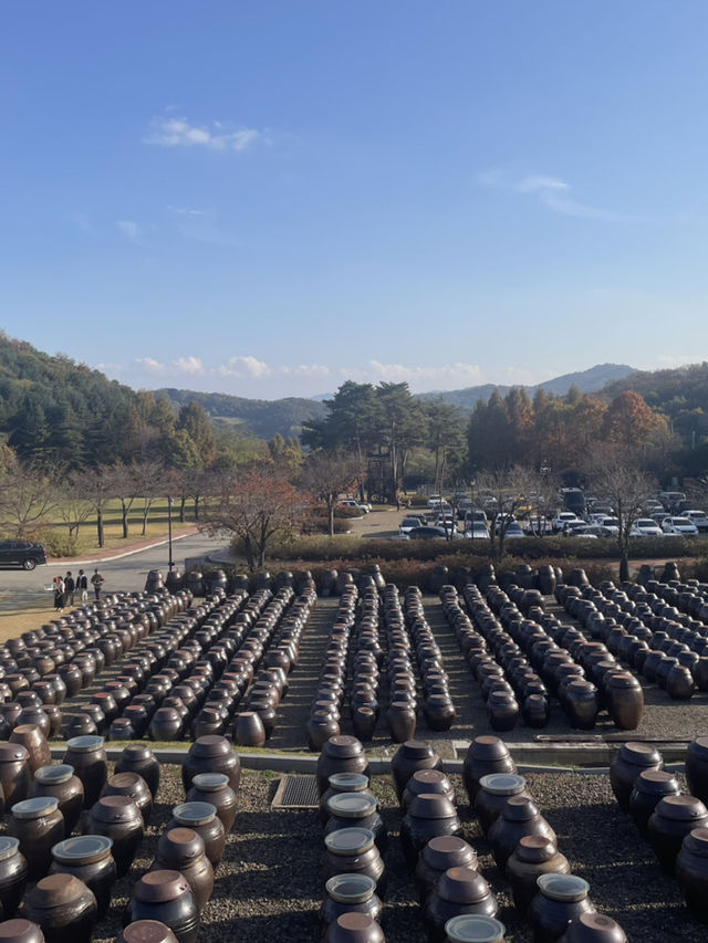🍂 가을의 결, 연천에서 하루