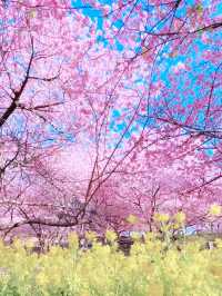 A Botanical Daydream in Bloom at Makino Park