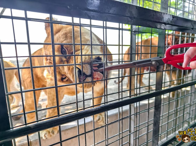 福岡 🦒🐘九州自然動物園 