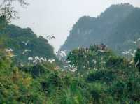 Thung Nham Eco-tourism Area - Ninh Binh.