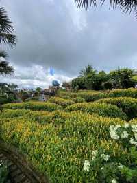 Sirao Garden