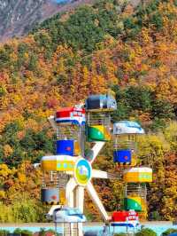 삼척가을단풍뷰관광지🍁하이원추추파크