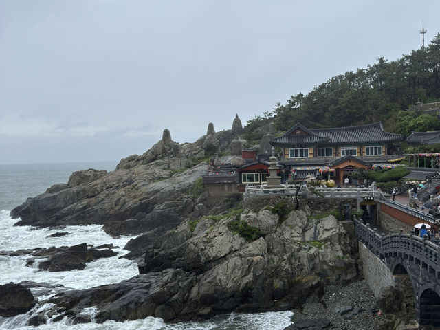 Where City Meets Sea: Korea in 3 Acts