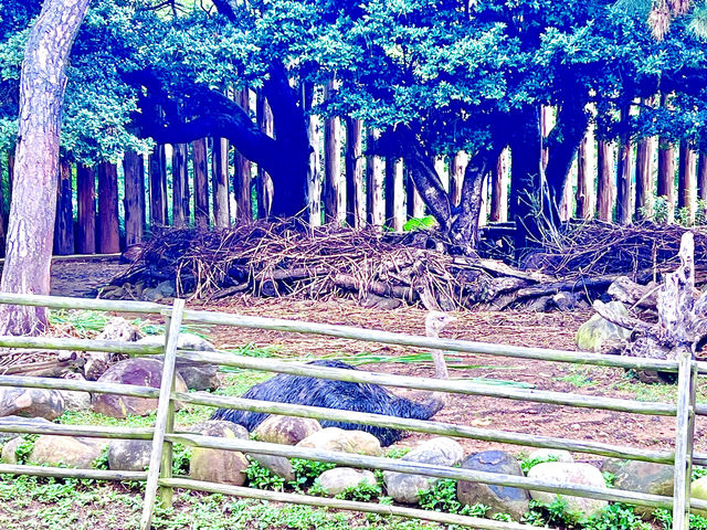 ［新竹旅遊］新竹市立動物園-親子共遊好去處🐒