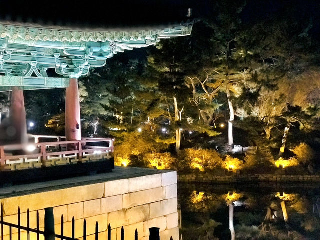 경주 감성 당일치기✨ 감포항부터 안압지 야경까지 알찬 코스