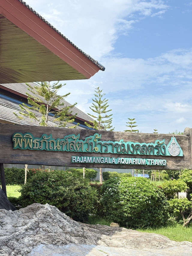 พิพิธภัณฑ์สัตว์น้ำราชมงคลตรัง - ตรัง 🐠
