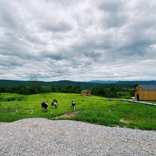 🌿HillbillyFarm @Namnao