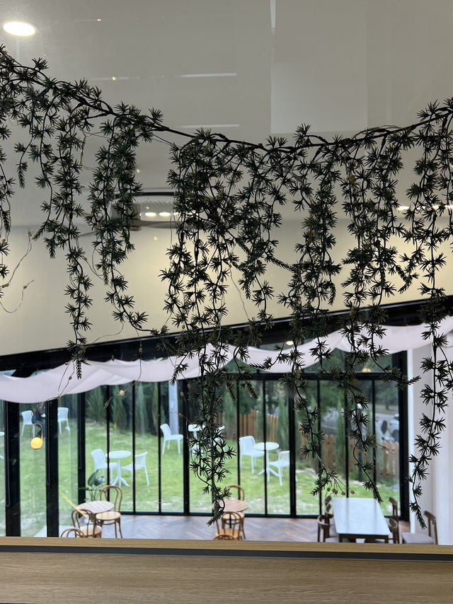 Reforest Café – คาเฟ่บรรยากาศธรรมชาติในแทจอน