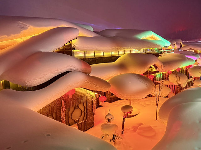 Winter Wonderland: A Stroll Through China Snow Town