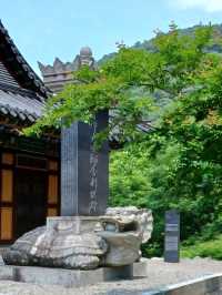 여름산책에 제격인 힐링 사찰, 옥천사