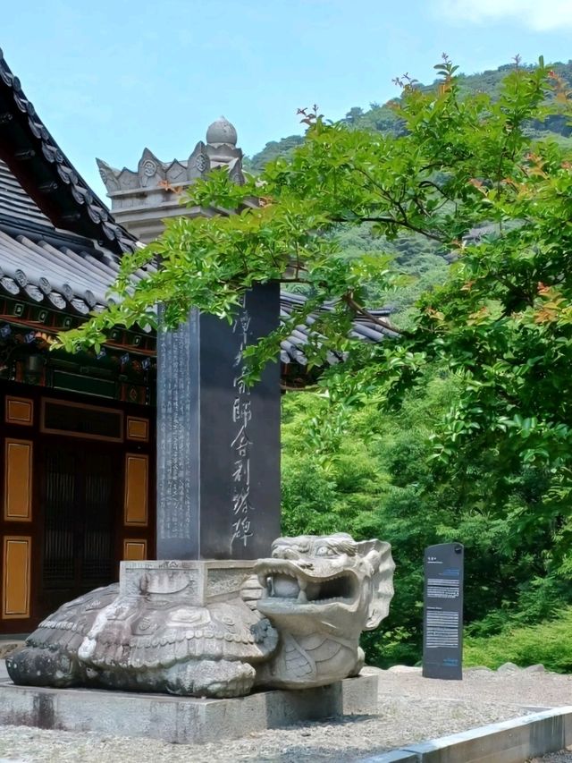 여름산책에 제격인 힐링 사찰, 옥천사