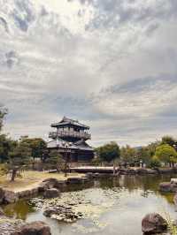 【大阪】池田城跡公園で静かなひと時🪷