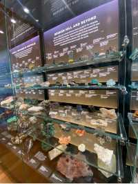 Queensland Museum – Brisbane, QLD