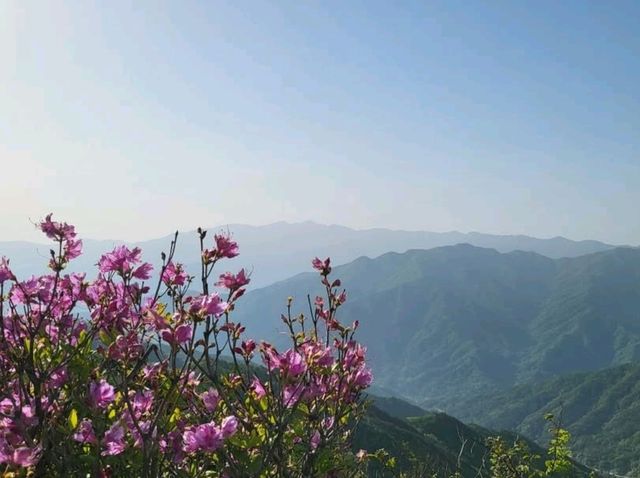 A Day in Nature's Backyard