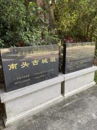 想不到深圳中山公園是這麼吸引的！！