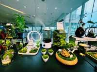 A Little Green Joy at Gurney Paragon Mall