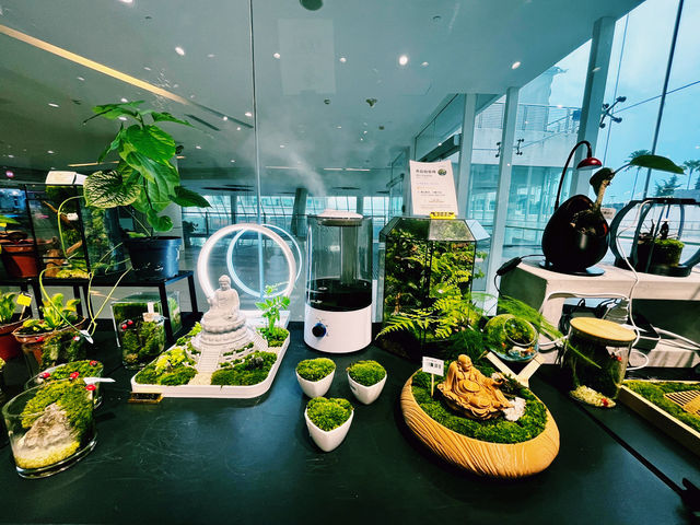 A Little Green Joy at Gurney Paragon Mall