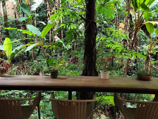Teddu Coffee เชียงใหม่ คาเฟ่ที่สายกาแฟห้ามพลาด! ☕️