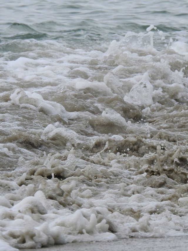 The Beach