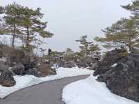 3月日本自由行 景点篇 鬼押出火山岩石公園