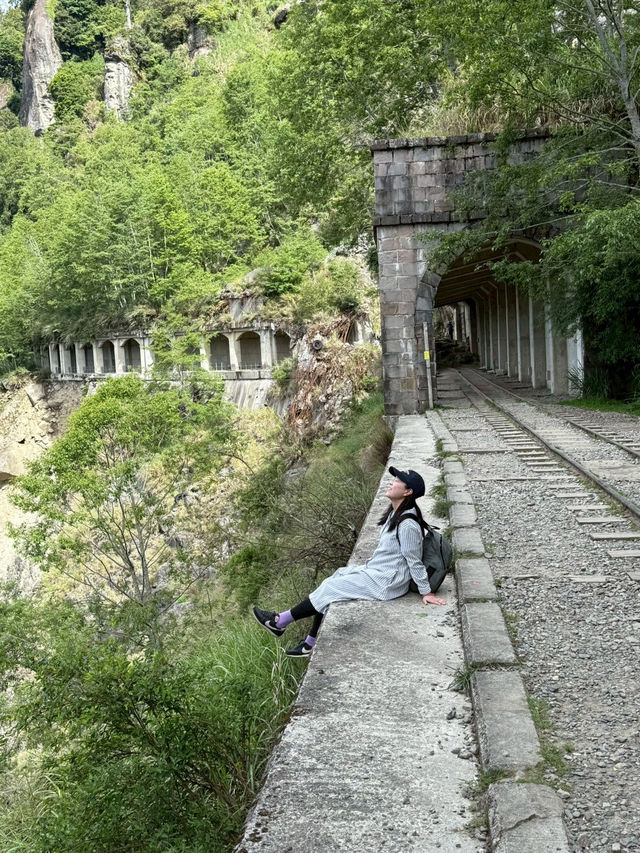 懷念的阿里山森林小火車