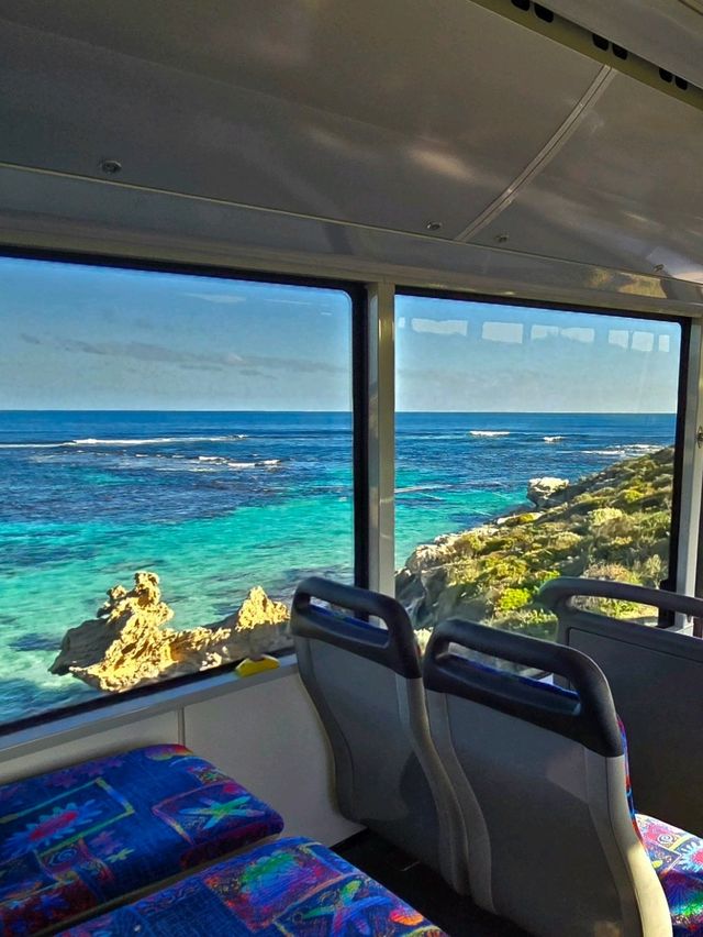 Rottnest Island - Perth Australia