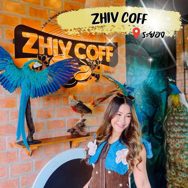 ZHIV COFF คาเฟ่กาแฟตุรกี RAYONG 