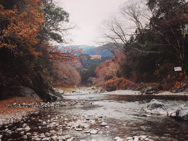 「東京近郊秘境｜御岳溪谷的紅葉與清流」 