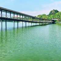 Nature’s Runway: A Stroll Along Mandai Boardwalk 🇸🇬