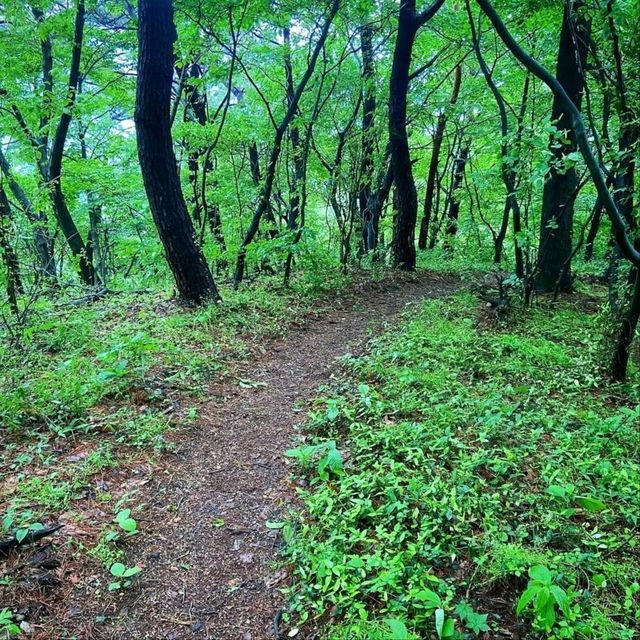 Mudeungsan Green Trail: Nature Walkin’ Like a Pro