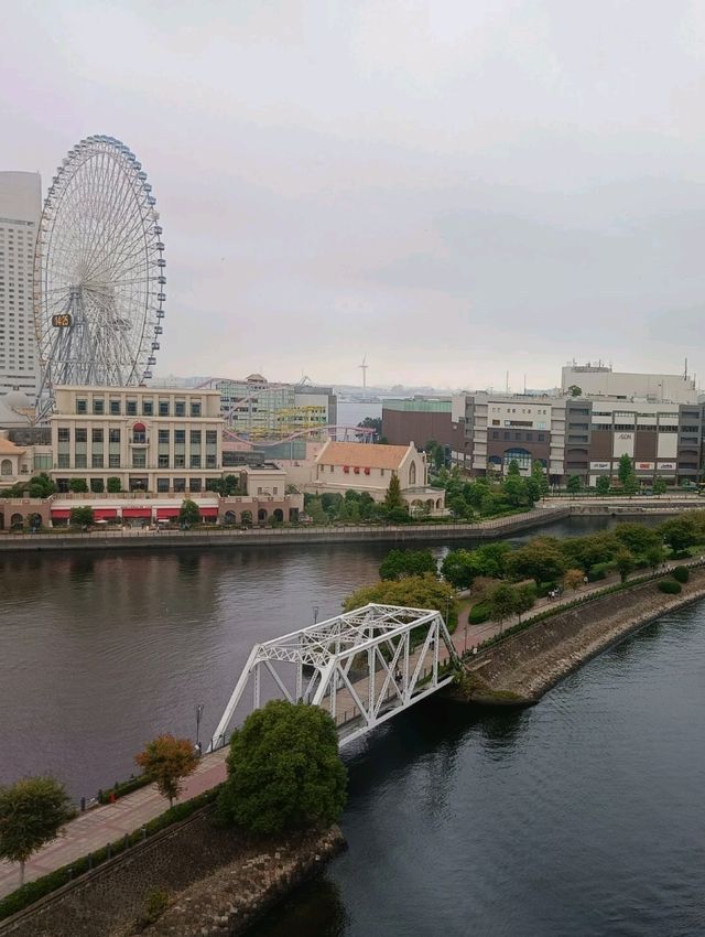 分享❤️東京六天五夜自由行行程！
