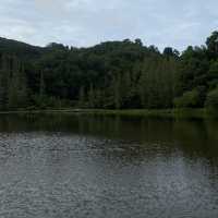 The lake เหมืองเเร่ภูเก็ต