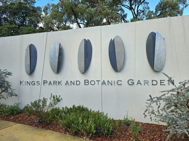 King Park and Botanic Garden (Perth Australia)